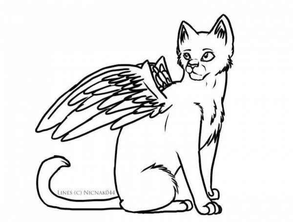 Коты Воители лайны с крыльями