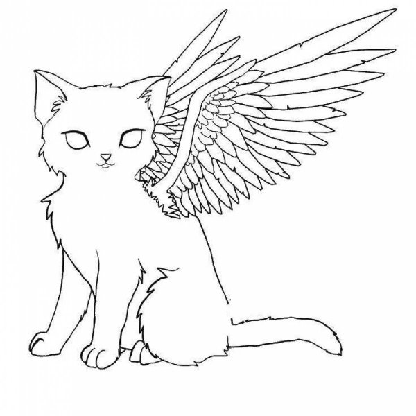 Кошка с крыльями раскраска