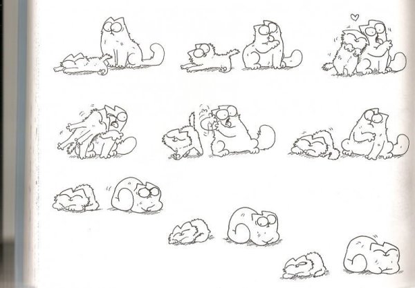 Кот Саймон