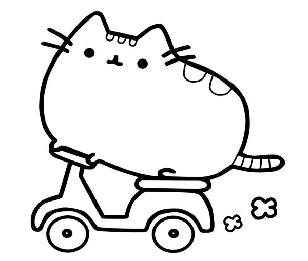 Шотландская вислоухая кошка