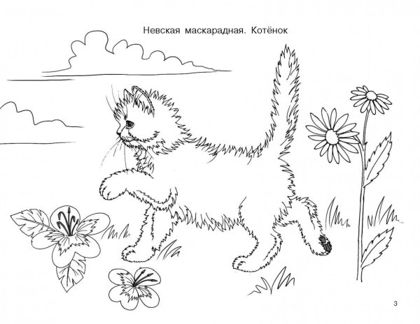Толстой котенок раскраска