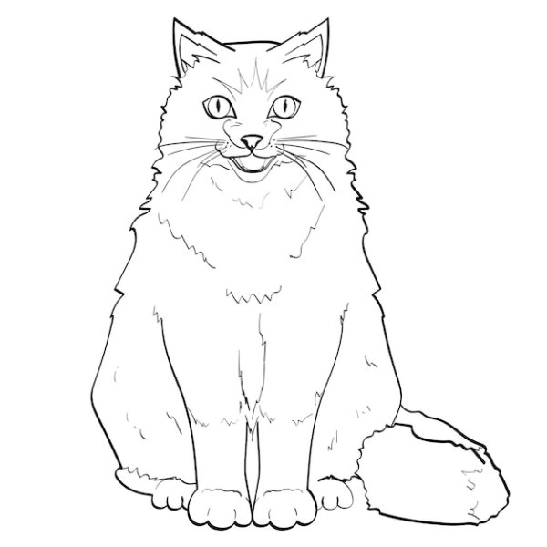 Сибирский кот раскраска