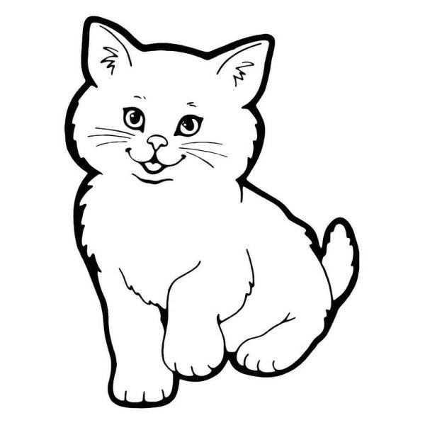 Раскраска кот