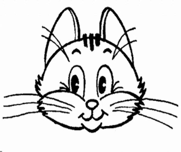 Раскраски мордочка кошки (47 фото)
