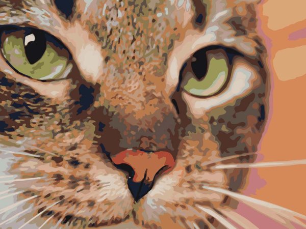 Кошка по номерам