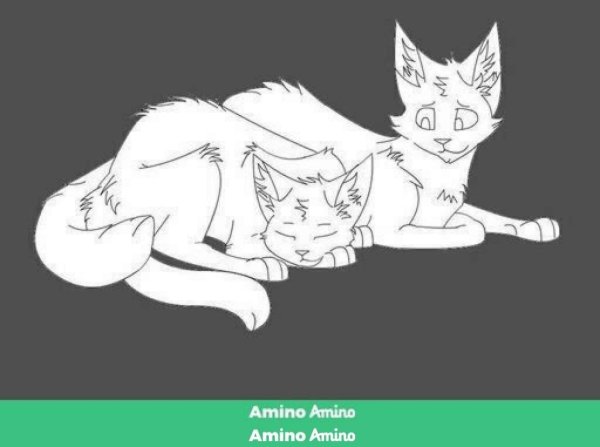 Коты Воители пары ланй