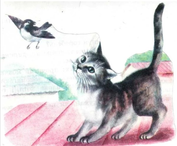 Кот и Воробей