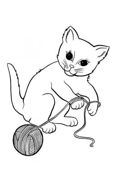 Раскраска. Котики