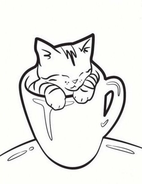 Раскраска. Котики