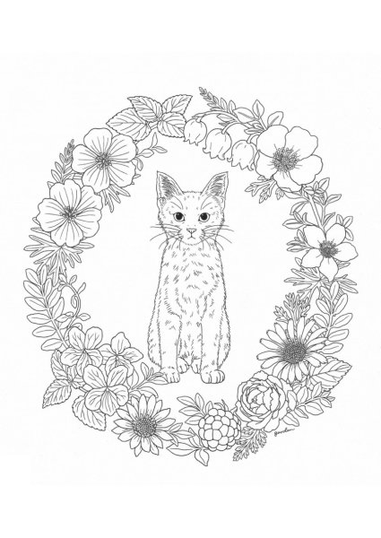 Кототерапия раскраска-антистресс
