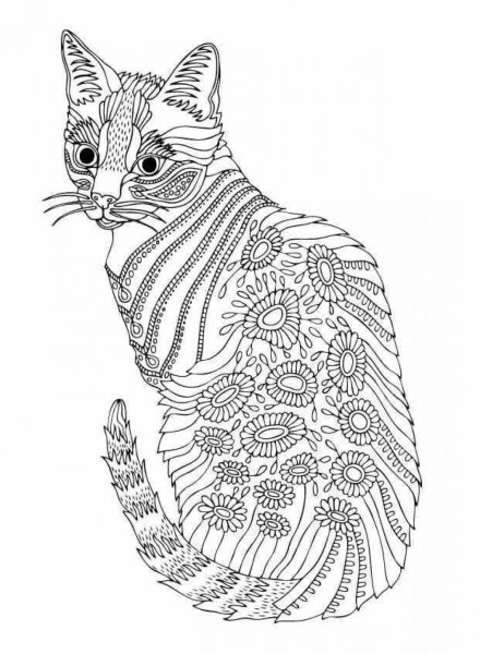 Раскраска антистресс кошечка
