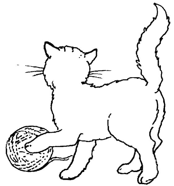 Раскраска котик сидит