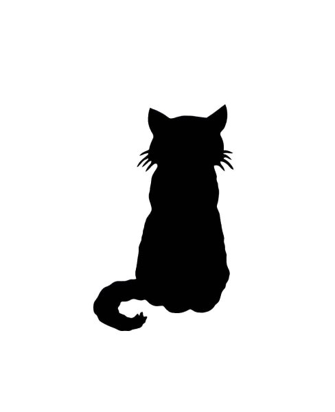 Тень кота