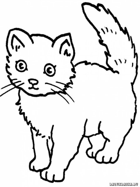 Кошка раскраска для детей