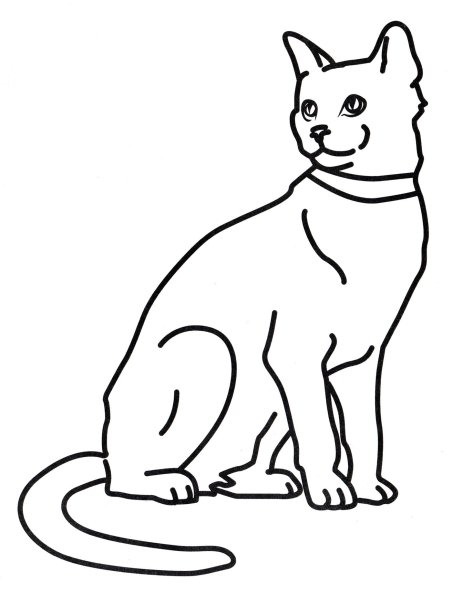 Пушистая кошка раскраска