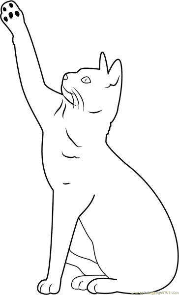Кошки. Раскраска