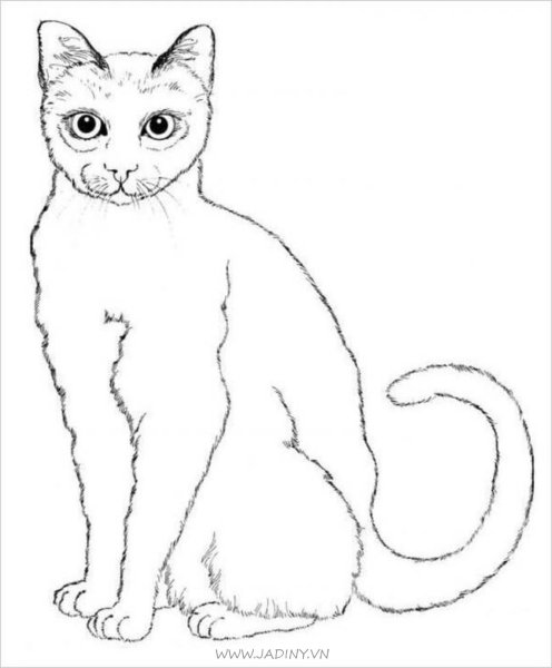 Кошка рисунок контур