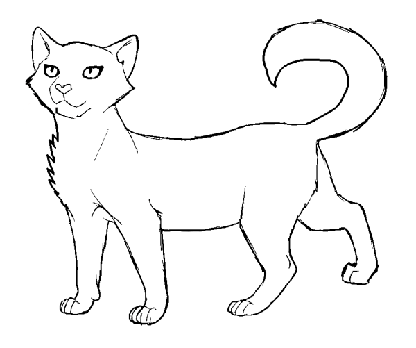 Коты Воители Белолапка