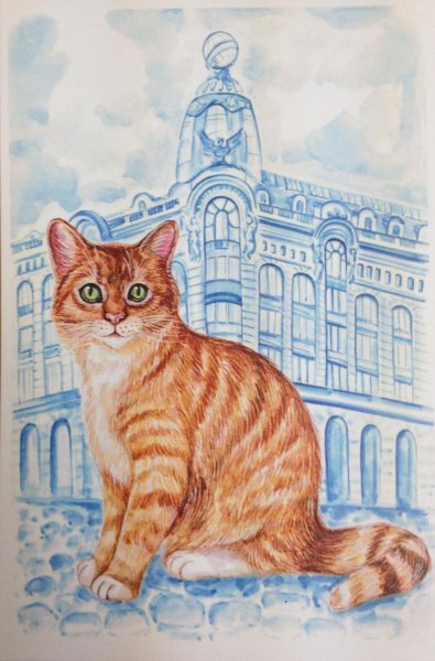 Питер коты Петербурга