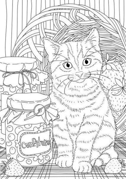 Раскраска котик в кружке