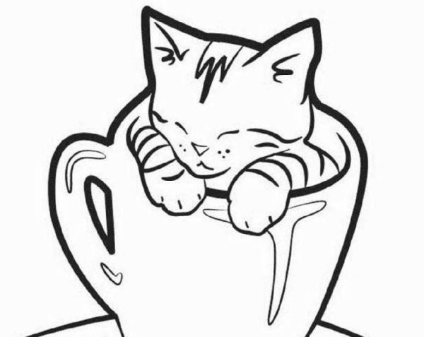 Раскраска. Котики