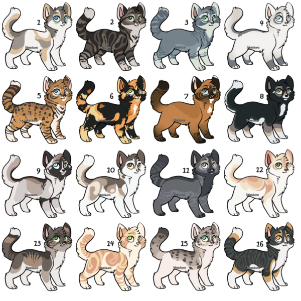 Коты Воители адопты котят