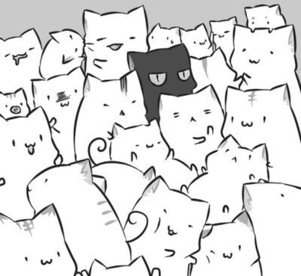 Много котиков