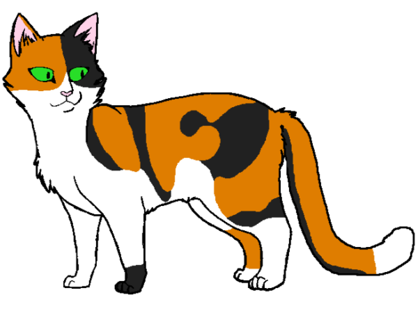 Коты Воители трехцветные