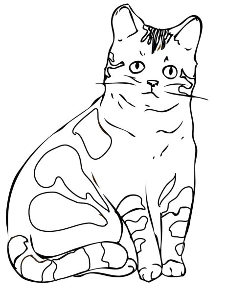 Разукрашка кошка