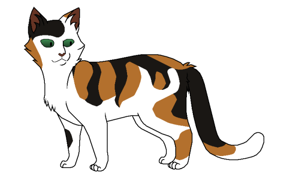 Коты Воители Nutmeg