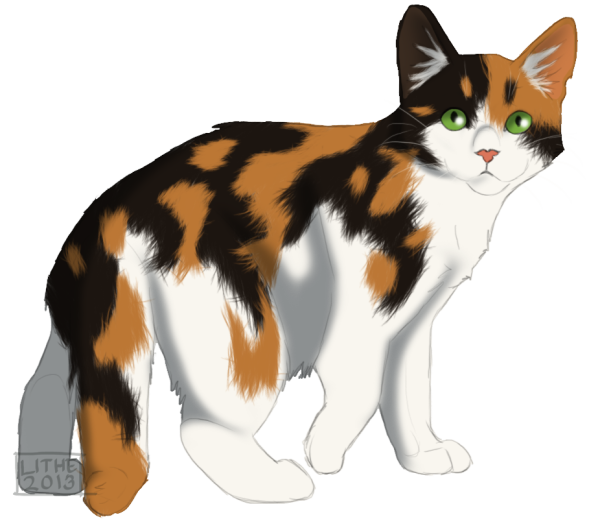 Коты Воители Рыжинка
