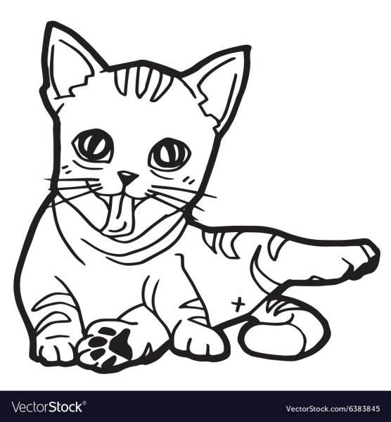 Членоголовый cartoon Cat раскраска