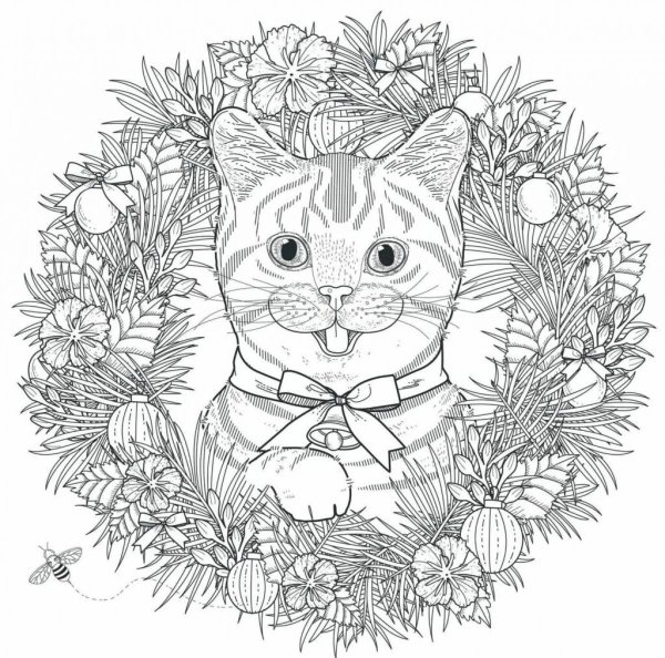 Раскраска. Котики