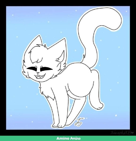 Коты Воители лайны Амино