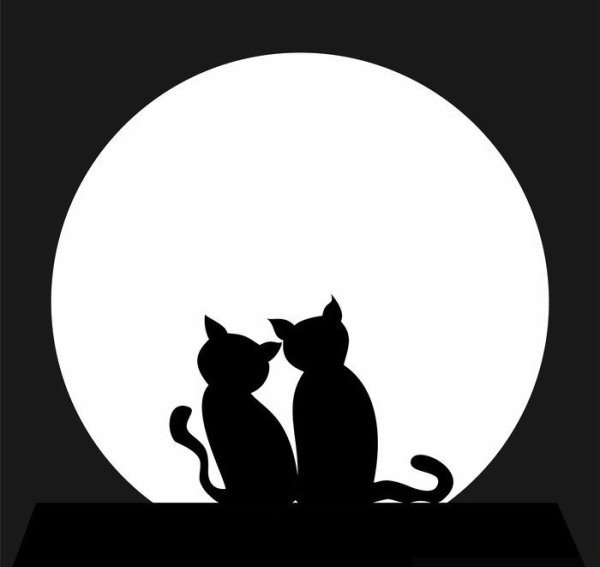 Раскраски кошки на крыше (45 фото)