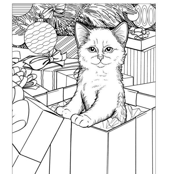 Кототерапия раскраска-антистресс