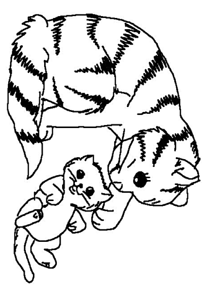 Раскраски родились котята