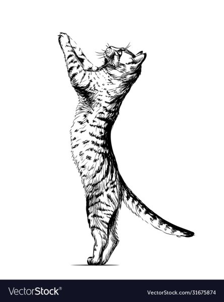 Лес дружбы кошка Голди
