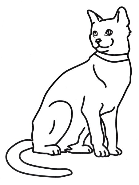 Раскраска вислоухий котёнок