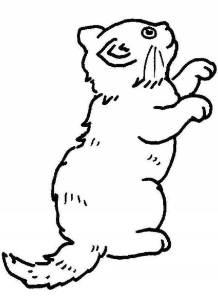 Геральдический кот