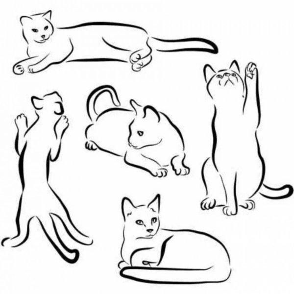 Кот Шлепа раскраска