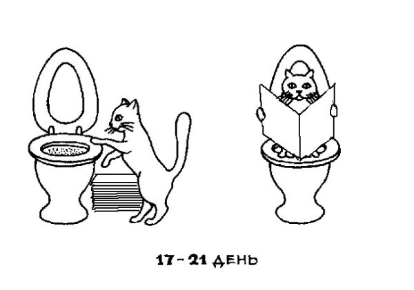Кошачий туалет