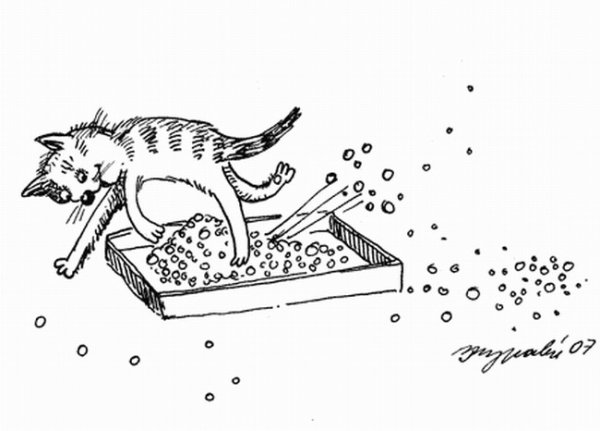 Кошачий лоток прикол
