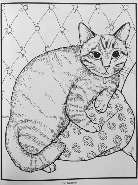 Раскраска коты Аристакрат