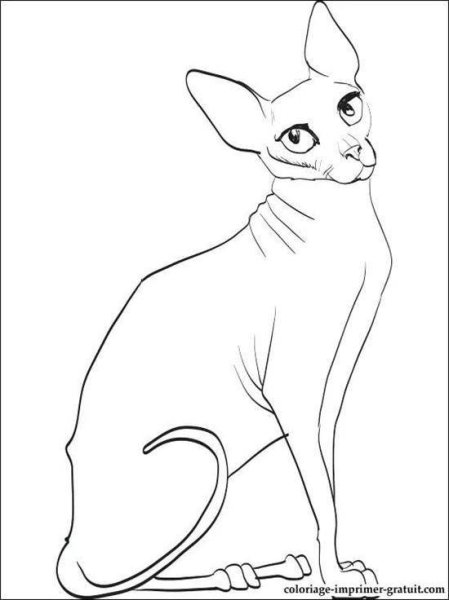 Египетская кошка раскраска
