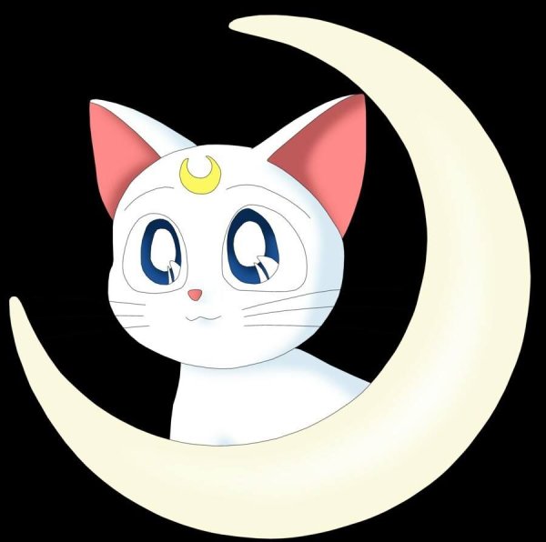 Кошка Луна из сейлормун