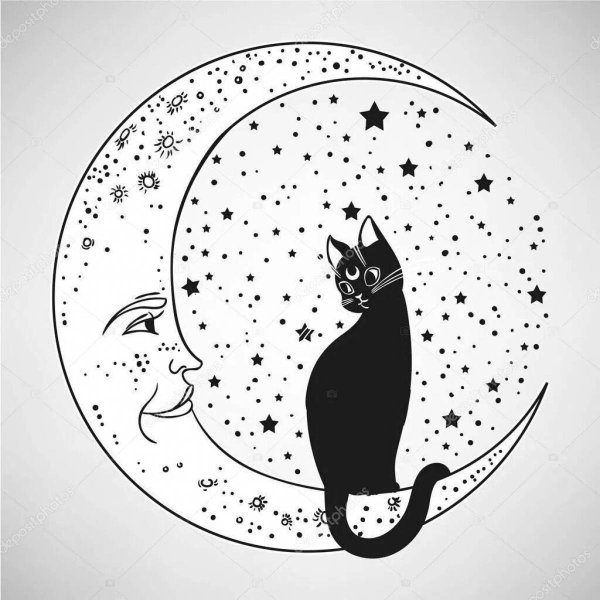 Раскраска лунный котик