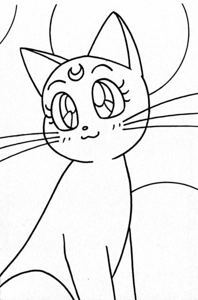 Кошка Луна раскраска