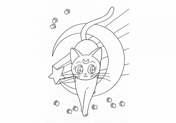 Кошка на Хэллоуин раскраска