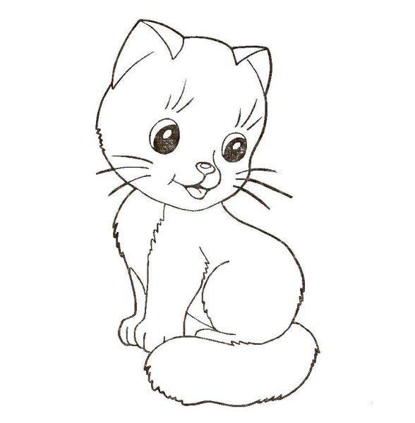 Кошки. Раскраска